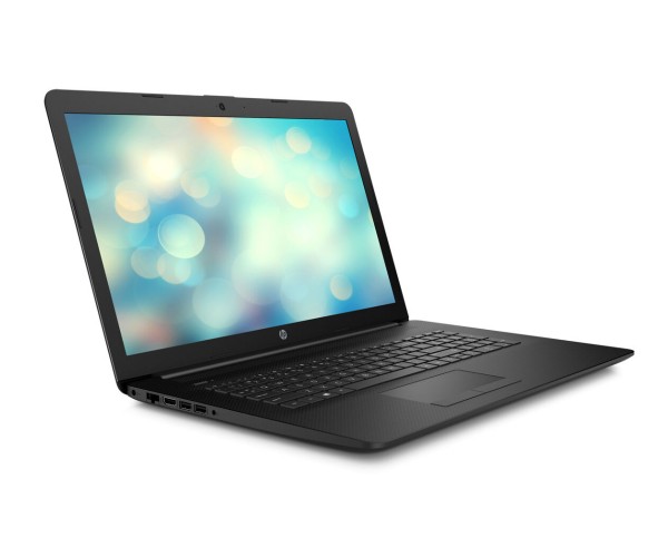 HP Laptop 17-ca2521ng 17,3 Zoll Windows Silver Laptop HDD Notebook 1TB 8GB AMD 10 Athlon Pro HD