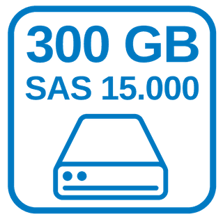 Schnelle Festplatte 300 GB 15K SAS